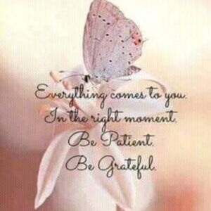 Meet your Posher, Helyn